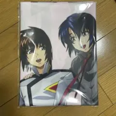 【未開封品】アスラン キラ 布ポスター ガンダムSEEDFREEDOMのサムネイル