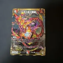 バラドヴィナシューラ