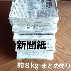 新聞紙 23キロ 新品未使用 当日発送 置配可能 - メルカリ