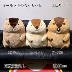 マーモットのもっとっとマモ座り超BIG - メルカリ