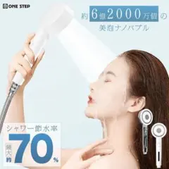 シャワーヘッド 節水 ナノバブル 美肌 塩素除去 ミスト 塩素 シルバー2319