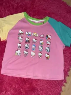ハローキティ プリント 半袖Tシャツ チビT ギャル Y2k