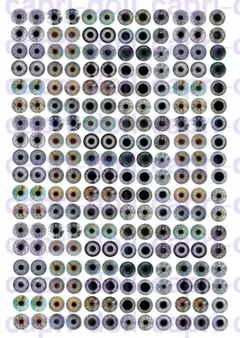 ブライス・アイシードールアイシート14mm・