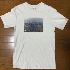 Supreme Nike ACG Tシャツ ホワイト sk8 スケーター