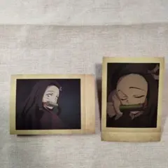 鬼滅の刃 竈門禰豆子 ぱしゃこれ