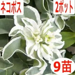 まっち様 リクエスト 3点 まとめ商品