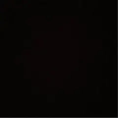 しまりす様 専用 チュートピア