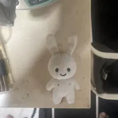 ミミーチン様専用　うさぎのぬいぐるみ誰か買ってぺこ