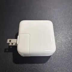 Apple純正　30W USB-C Power Adapter