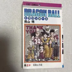 き*こ様 【初版】ドラゴンボール 30巻 第1刷 DRAGONBALL 邪悪な