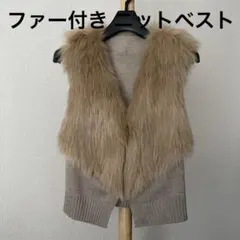 2025年最新】FENNEL ジレ ファーの人気アイテム - メルカリ