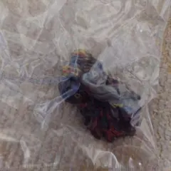 ゴジラ 一番くじ モンスターヘッドマグネット ヘドラ