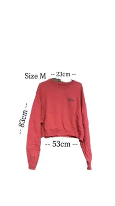 Stussy 赤 Mサイズ トレーナー