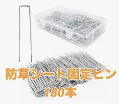 Item thumbnail for item bd4b39c8-68ab-49ef-8dc0-a208a285588d