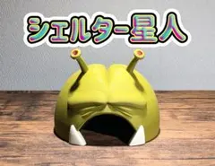 Item thumbnail for item 8e6fdf41-1c22-4d1b-a3e2-fe9e05eaaed2