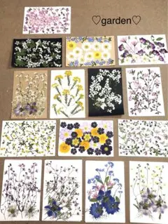 Koyuki様 リクエスト 2点 まとめ商品