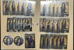 ツイステッドワンダーランド　ツイステ　レオナ・キングスカラー　27点　まとめ売り