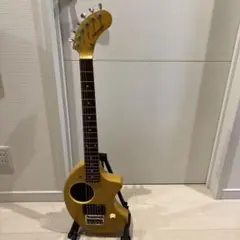 2025年最新】FERNANDES ギター ジャンクの人気アイテム - メルカリ