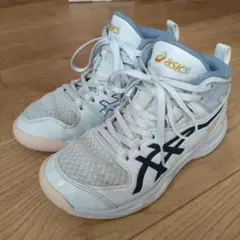 ASICS バスケットボールシューズ　ダンクショット 21.5cm