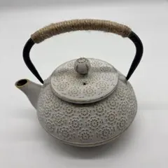 南部鉄器 岩鋳 アンシャンテ ジャポン ティーポット カモミール 販売