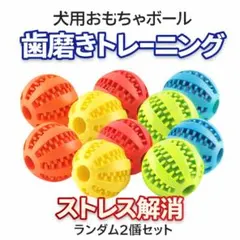 Item thumbnail for item ef4f4b28-e6f7-4f0f-94e1-eaacd8052ce2