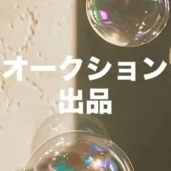 259,261,262 （各 縦40mm)