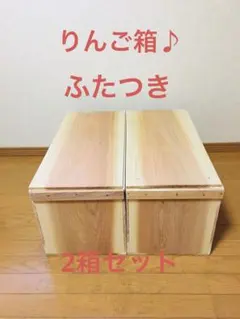 桐箱】桐衣装ケース 4段 肥前桐民芸 日本製 浅型深型 着物収納ケース