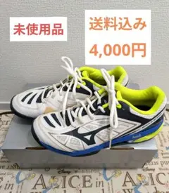 未使用品 MIZUNO　ミズノ ウエーブエクシード テニスシューズ 24cm