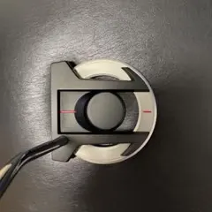 Item thumbnail for item 59d673f2-fa5c-413e-a335-8fd834d15a6a