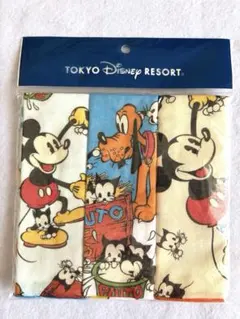 ミッキー ミニー タオルセット アトラクション 5枚入り ディズニー