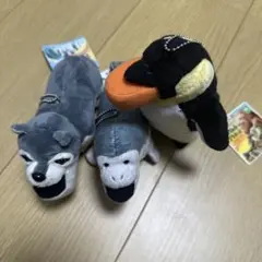 シャクレルプラネット マスコット 묶음 판매