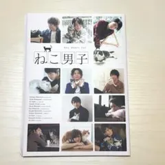 超希少、レア】 昭和TV レッツゴーヤング バック西城秀樹サイン