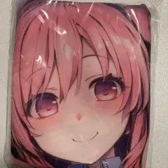 SDVX レイシス ロングクッションカバー 抱き枕カバー - メルカリ