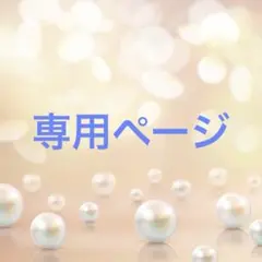 専用ページ