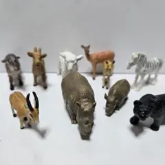 世界自然動物 フィギュアセット 10匹 アニマル