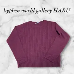 イーハイフンワールドギャラリー　ケーブルニット　バーガンディ　美品　【FREE】