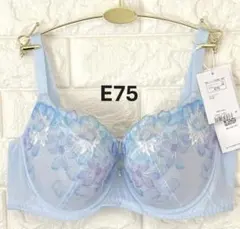 トリンプ　夏ブラ　COOL627　ブラジャー　ブルー　E75のサムネイル