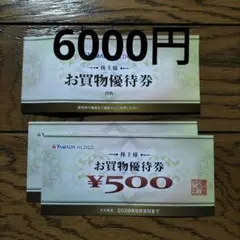 ヤマダ電機　株主優待　6000円