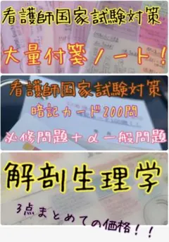 まとめ価格！看護師国家試験対策 大量付箋 暗記カード 解剖生理学 付箋ノート