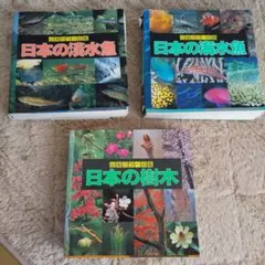 2025年最新】山と渓谷社日本の樹木の人気アイテム - メルカリ