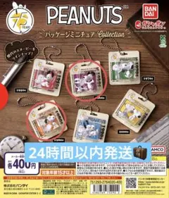 【美品】PEANUTS パッケージミニチュアコレクション