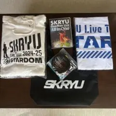 SKRYU All In One グッズ　THEATER まとめ売り SKRYU Official Goods Store