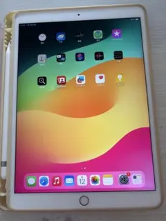 iPad pro 第1世代 10.5インチApple Pencil セットのサムネイル