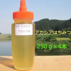 ✴️アカシア蜜3本 生はちみつ 自家製蜂蜜 - メルカリ