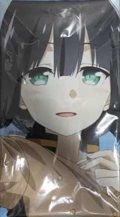 FGO FGO展 最終再臨展 B2ポスター 土方歳三 霊衣:浅葱の羽織袴 - メルカリ