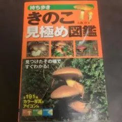 Item thumbnail for item 46a81d63-1400-4970-bf3a-b1c06181dbb8