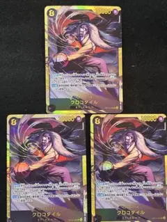 クロコダイル sec 3枚セット