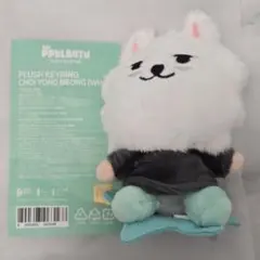 2025年最新】txt キーホルダー ボムギュの人気アイテム - メルカリ