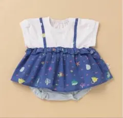 グレードスコープ コロボックルコラボ お魚上下セット 80㎝