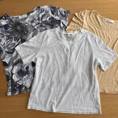 3点 ミラショーン Tシャツ ＆ラメ 綿100%のサムネイル